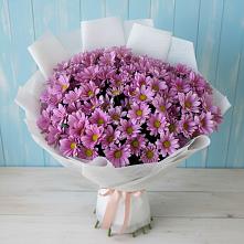 Букет цветов из:  Хризантемы в Кошурниково