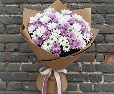 Букет цветов из:  Хризантемы в Кошурниково