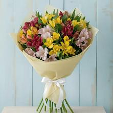Букет цветов из:  Альстромерии в Кошурниково