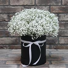 Цветочная композиция из Гипсофила в шляпной коробке в Кошурниково