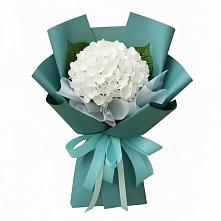 Букет цветов из:  Гортензия #REPLACE_PRED# Кошурниково